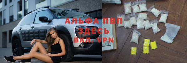 дживик Абаза