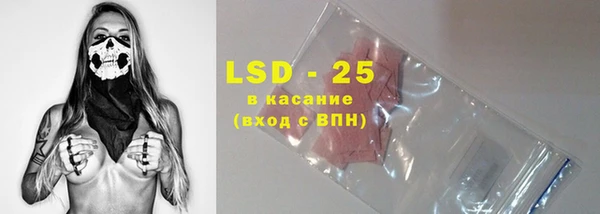 индика Абинск