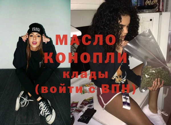 индика Абинск