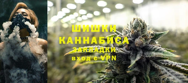 дживик Абаза